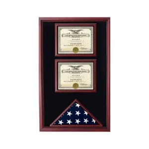 2 Documents Flag Display Cases - Color.