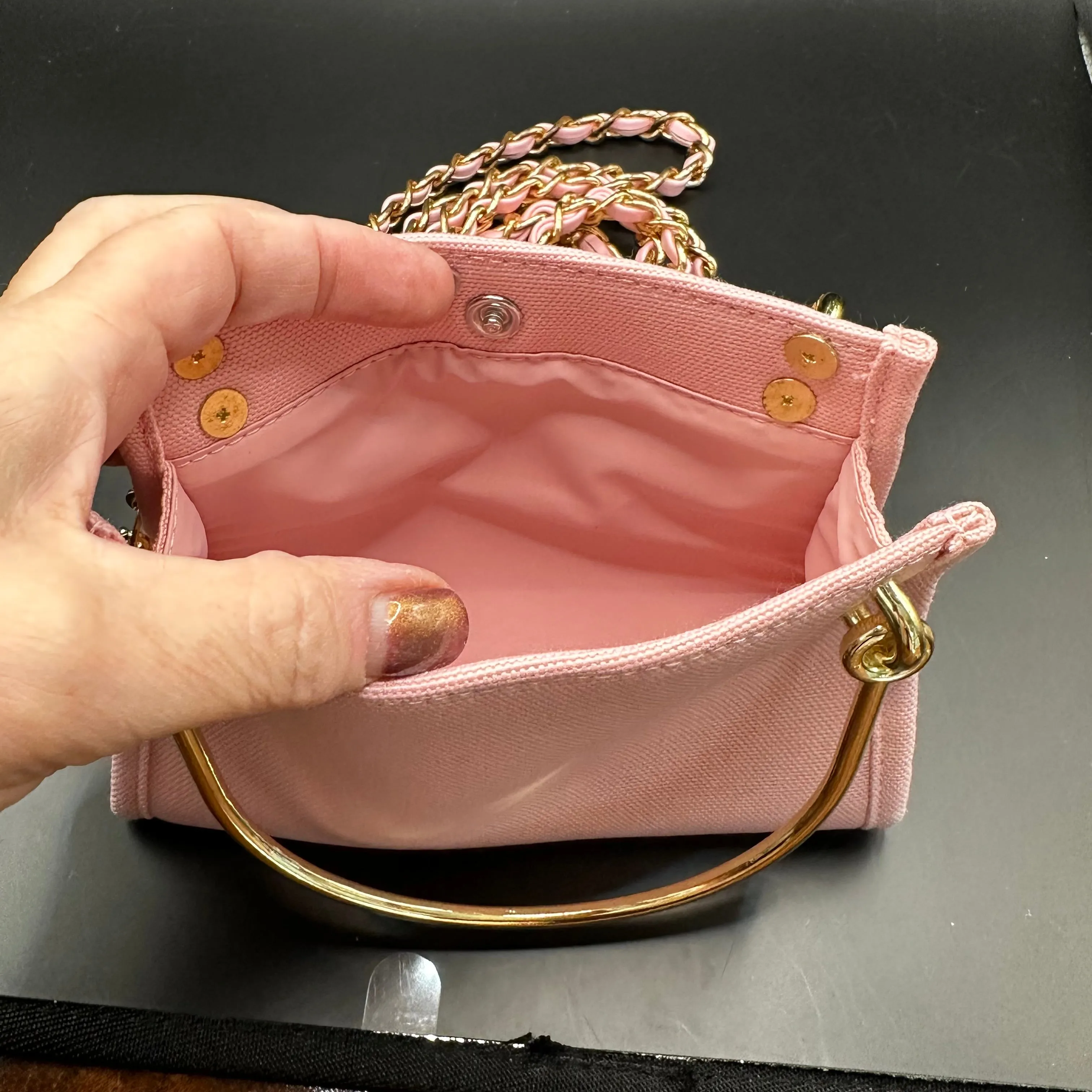 The Junco Crossbody Bag with Gold Handles - Pale Pink Dior